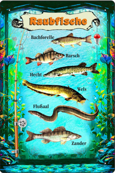 Blechschild Raubfische