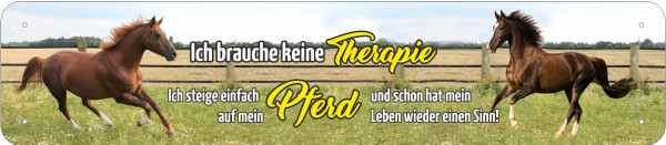 Straßenschild Ich brauche keine Therapie - steige auf mein Pferd - Leben wieder einen Sinn