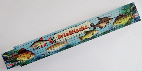 Zollstock 2m - Friedfische