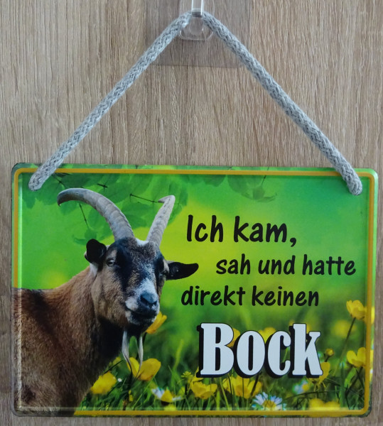 Hängeschild - Ich kam, sah und hatte direkt keinen Bock