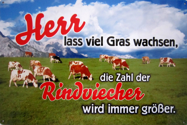 Blechschild Herr lass Grass wachsen Rindviehcher