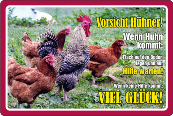 Blechschild Vorsicht Hühner! Wenn Huhn kommt auf Boden legen, auf Hilfe warten