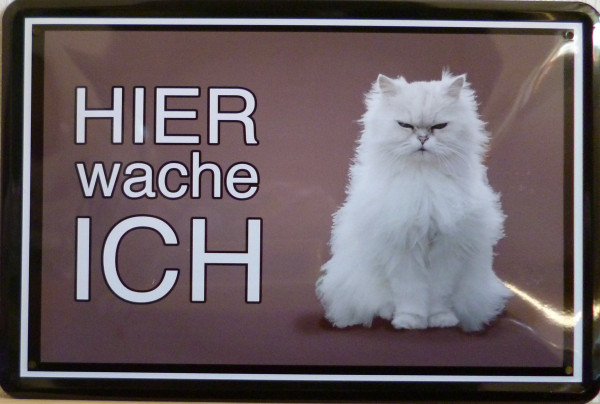 Blechschild Hier wache ich Katze weiß