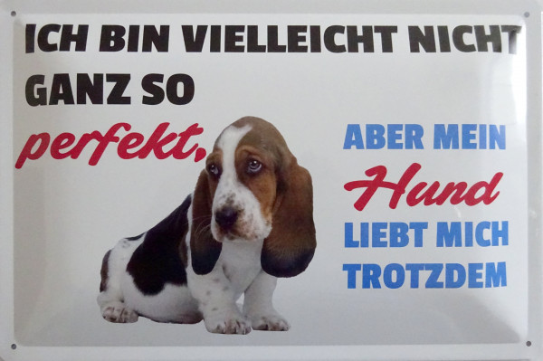 Blechschild 20x30cm - Ich bin vielleicht nicht perfekt aber mein Hund liebt mich trotzdem