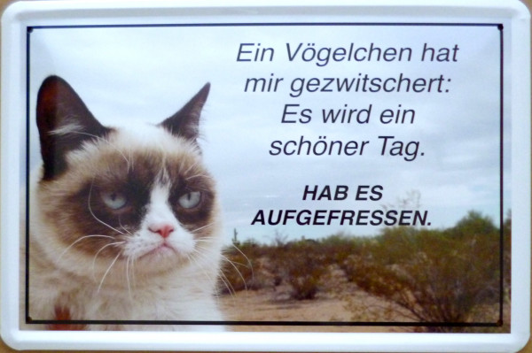 Blechschild Ein Vögelchen hat mir gezwitschert aufgefressen