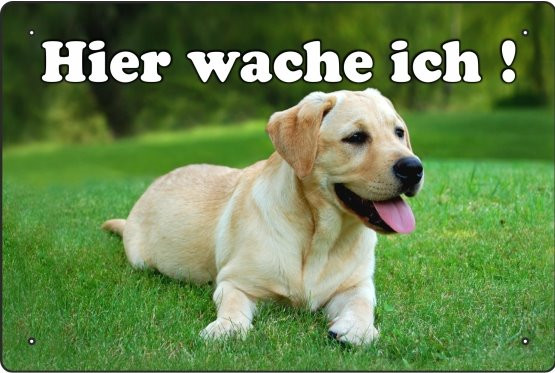 Blechschild Hier wache Ich Labrador (weiß/quer)