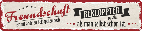 Straßenschild Freundschaft ist mit anderen Bekloppten noch bekloppter zu sein