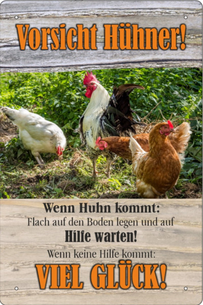 Blechschild Vorsicht Hühner! Wenn Huhn kommt auf Boden legen, auf Hilfe warten (2)