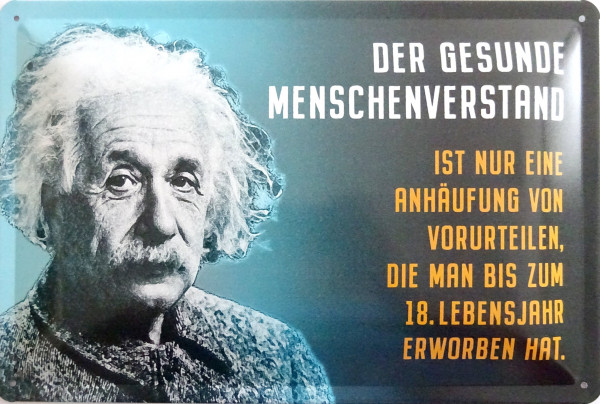 Blechschild 20x30cm - Einstein: der menschliche Versand ist nur eine Anhäufung von Vorurteilen die m