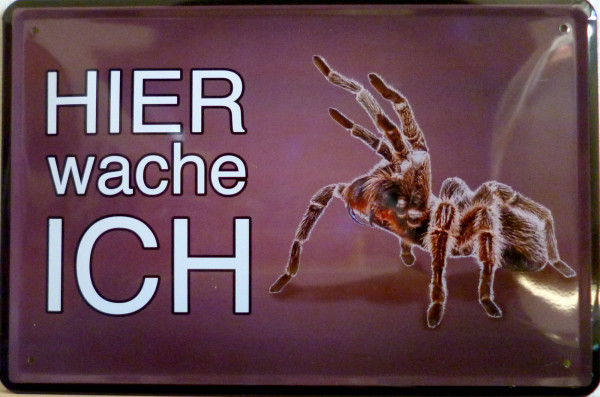 Blechschild Hier wache ich Spinne