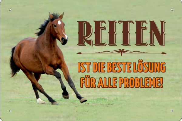 Blechschild Reiten ist die beste Lösung für alle Probleme