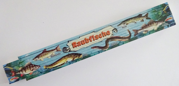 Zollstock 2m - Raubfische