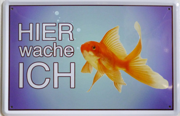 Blechschild Hier wache ich Goldfisch