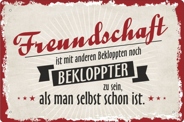 Blechschild Freundschaft ist mit anderen Bekloppten noch beklppter zu sein