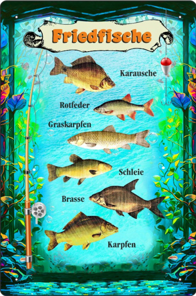 Blechschild Friedfische