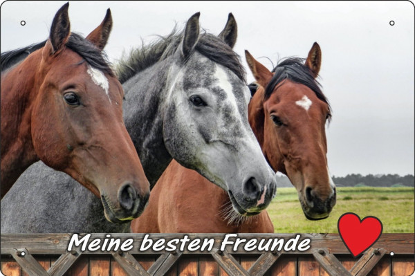 Blechschild meine besten Freunde - Pferde